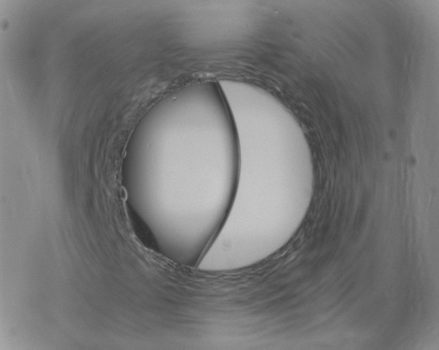 X0000075861441200610061925