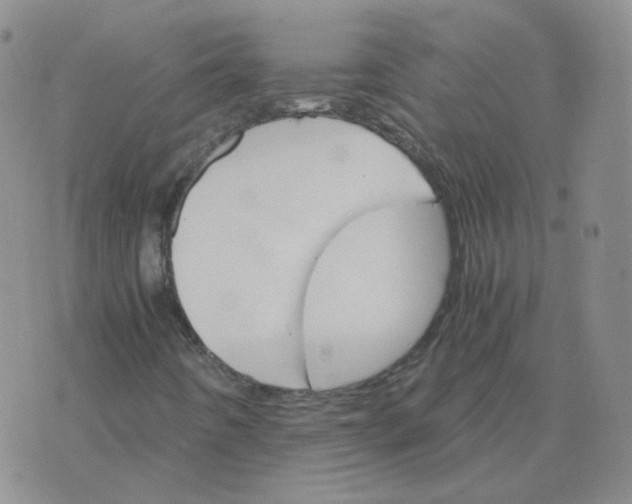 X0000075861442200610061925