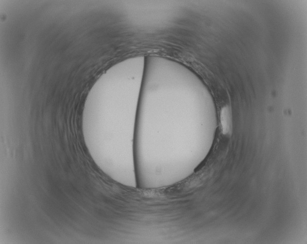 X0000075861443200610061925