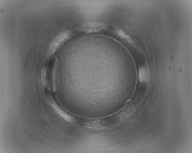 X0000075861444200610061925