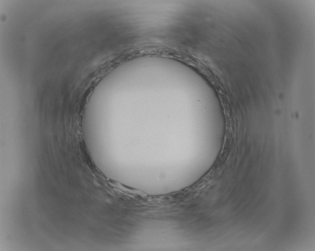 X0000075861445200610061925