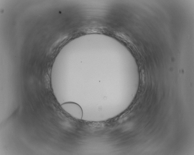 X0000075861446200610061925