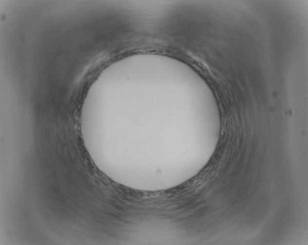 X0000075861447200610061925