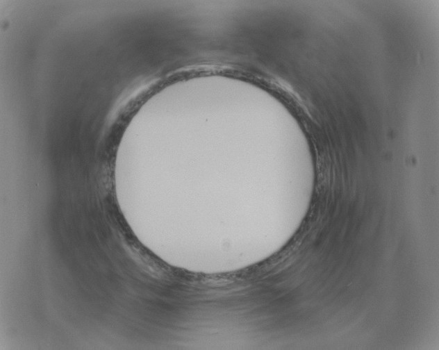 X0000075861448200610061925