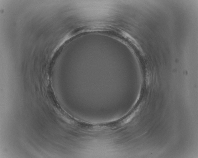 X0000075861449200610061925