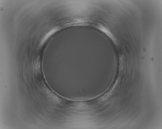 X0000075861450200610061925