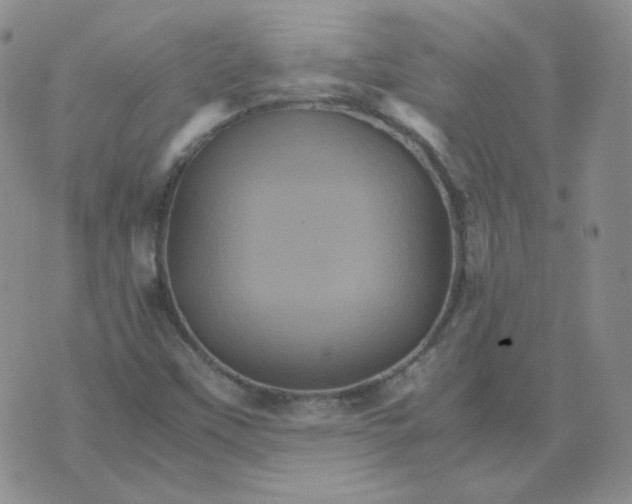 X0000075861451200610061925