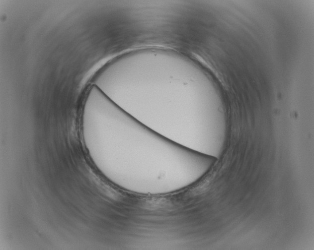 X0000075861452200610061925