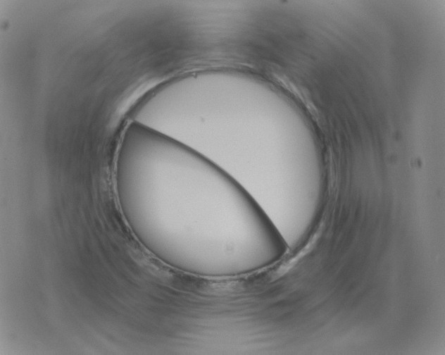 X0000075861453200610061925