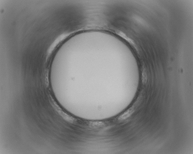 X0000075861454200610061925