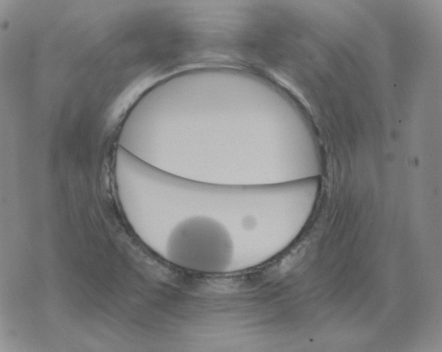 X0000075861455200610061925