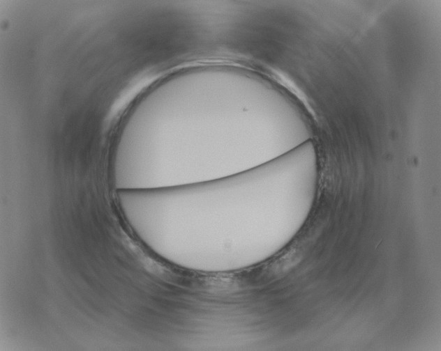 X0000075861456200610061925