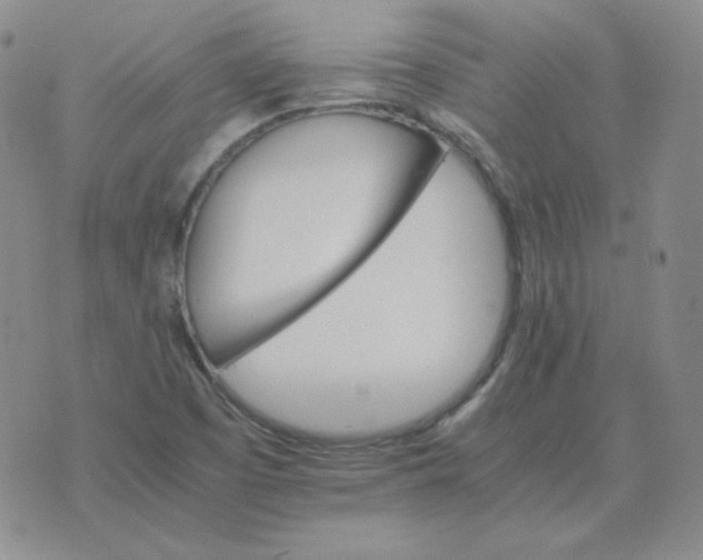 X0000075861457200610061925