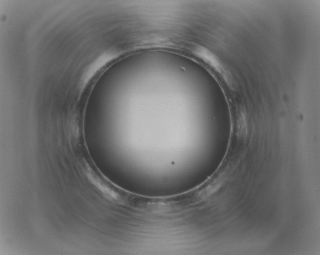 X0000075861458200610061925