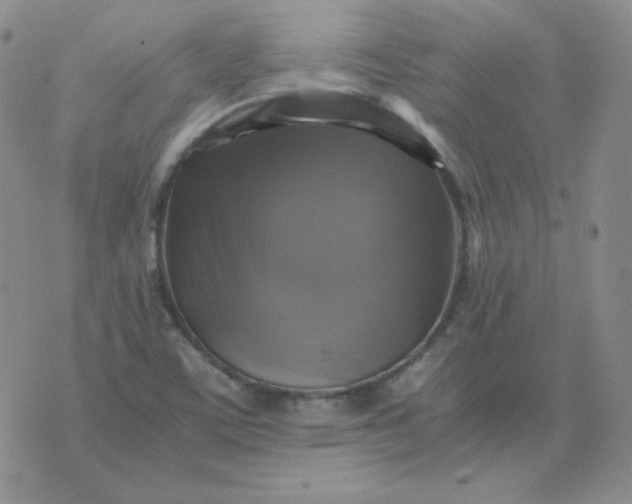 X0000075861459200610061925