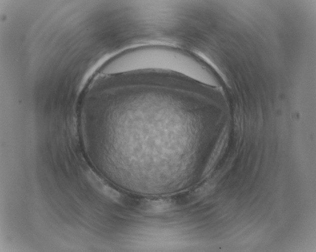 X0000075861460200610061925