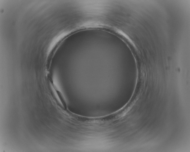 X0000075861461200610061925