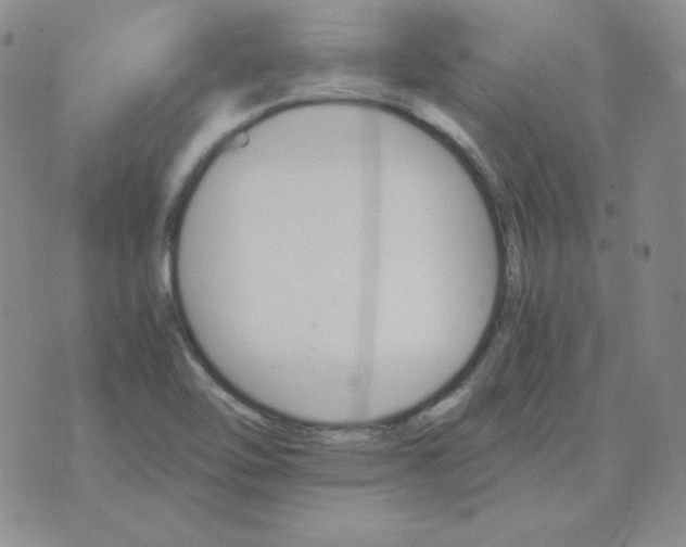 X0000075861462200610061925