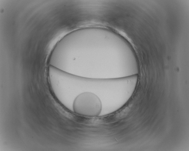 X0000075861463200610061925