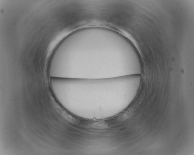 X0000075861464200610061925