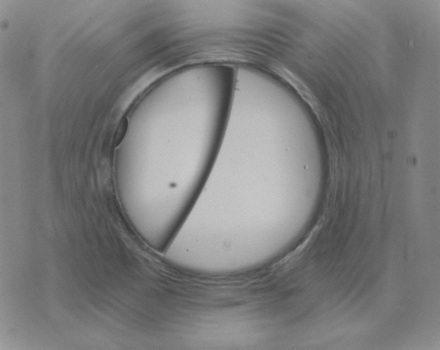 X0000075861465200610061925