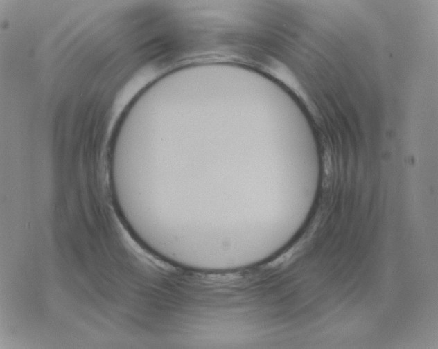 X0000075861466200610061925