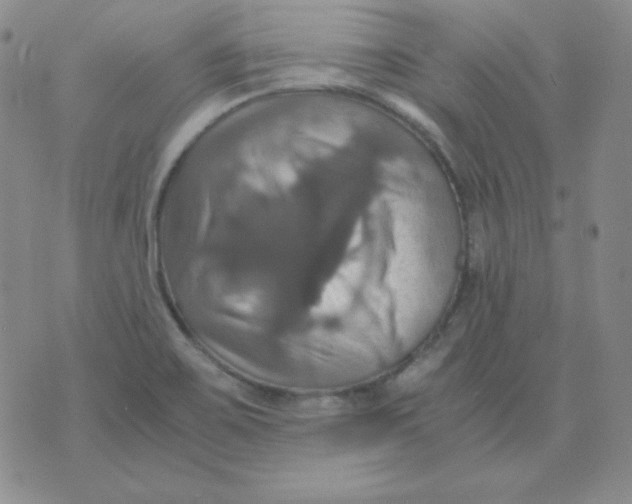 X0000075861467200610061925