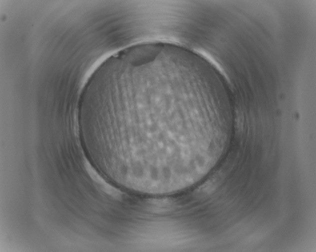 X0000075861468200610061925