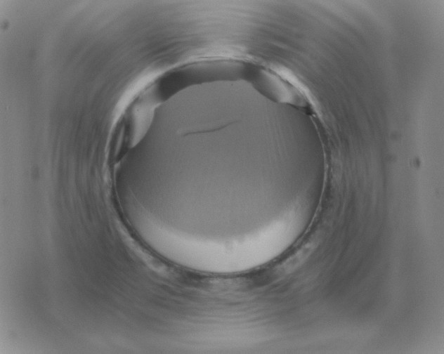 X0000075861469200610061925