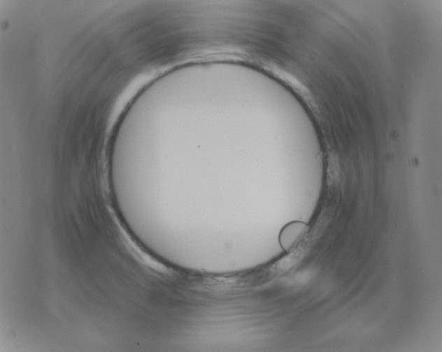 X0000075861470200610061925