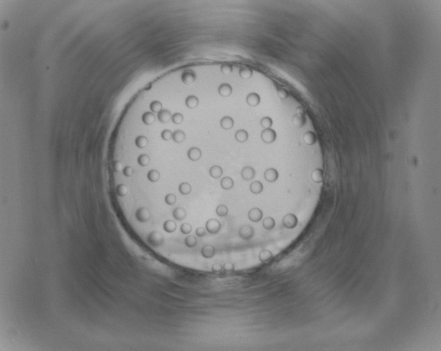 X0000075861471200610061925