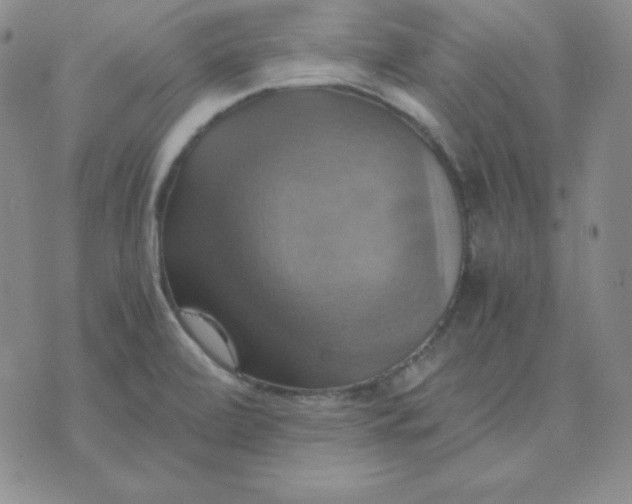 X0000075861472200610061925