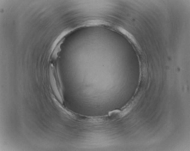 X0000075861473200610061925