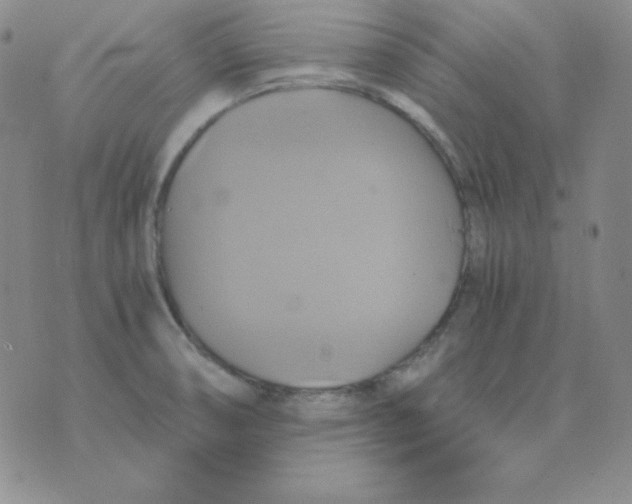 X0000075861474200610061925