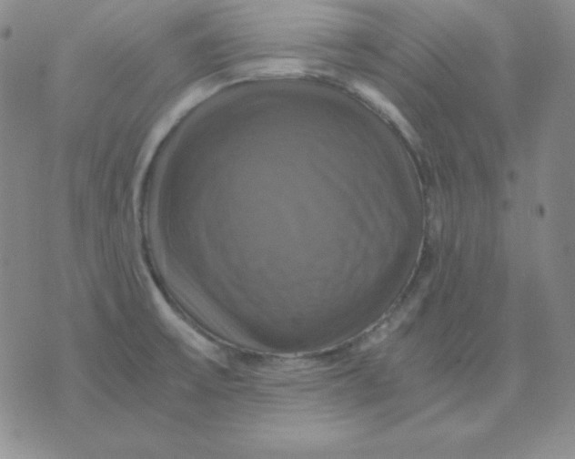 X0000075861475200610061925