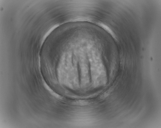 X0000075861476200610061925