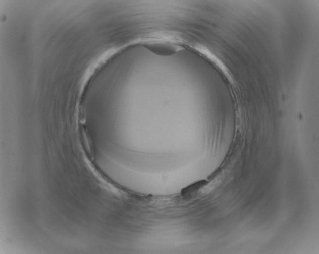 X0000075861477200610061925