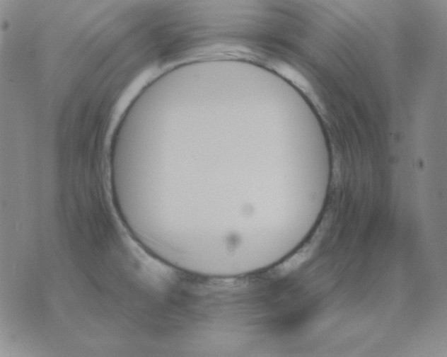 X0000075861478200610061925