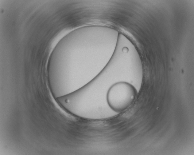 X0000075861479200610061925