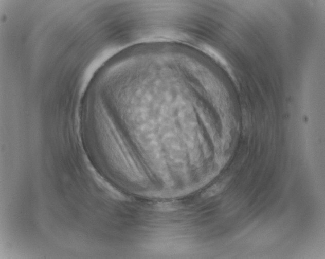 X0000075861480200610061925