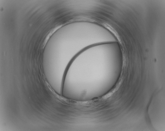 X0000075861481200610061925