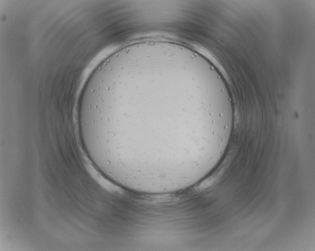 X0000075861482200610061925