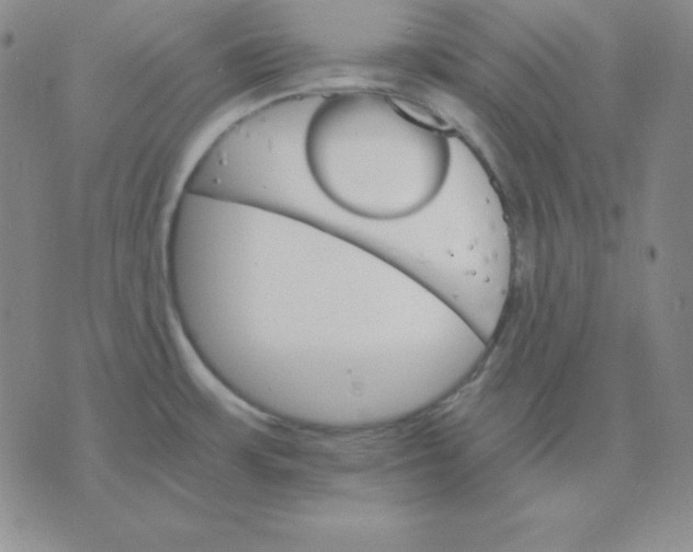 X0000075861483200610061925