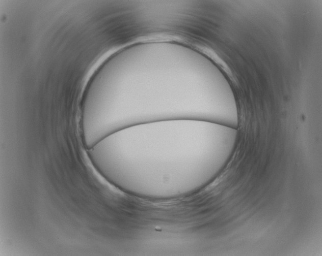 X0000075861484200610061925