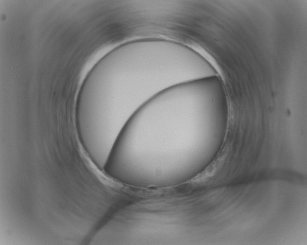 X0000075861485200610061925