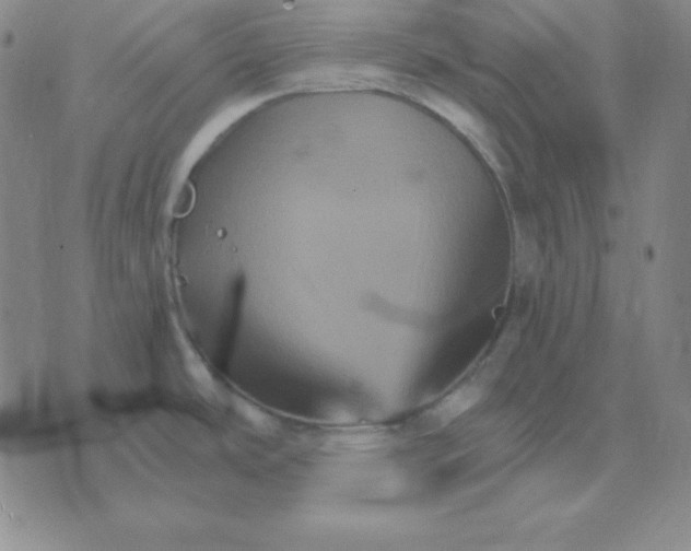 X0000075861486200610061925