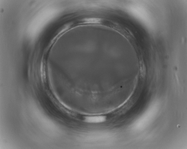 X0000075861487200610061925