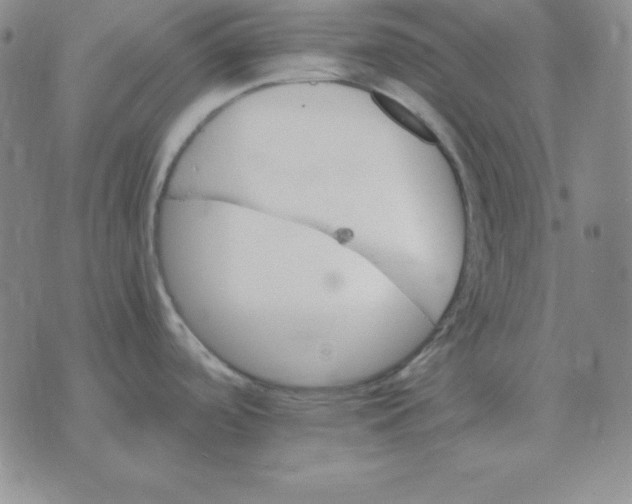 X0000075861488200610061924