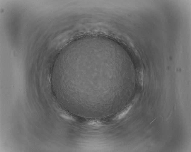 X0000075861489200610061924