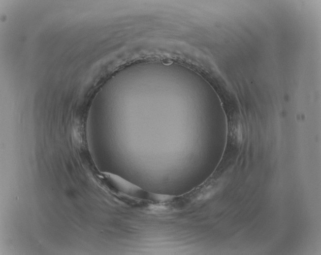 X0000075861490200610061924